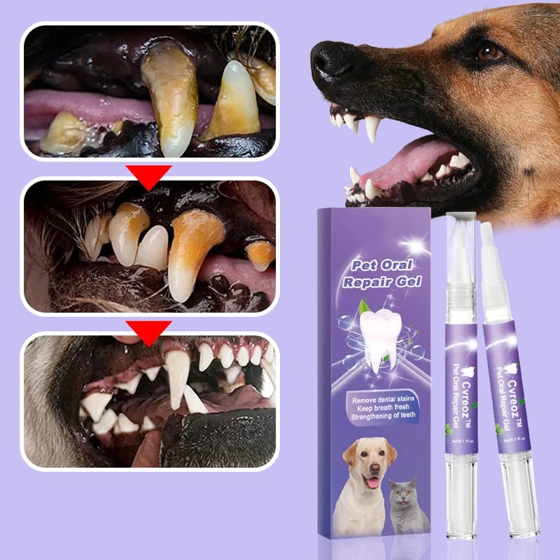 🌈 Pet Oral Repair Gel🔥BUY 1 GET 1 FREE TODAY🌈 Pet Oral Repair Gel