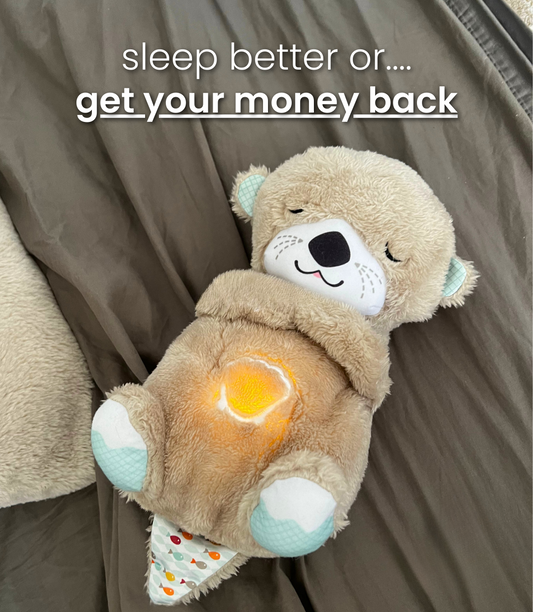 🔥Anxiety relief otter